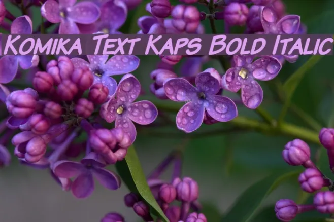 Komika Text Kaps Bold Italic Example 3