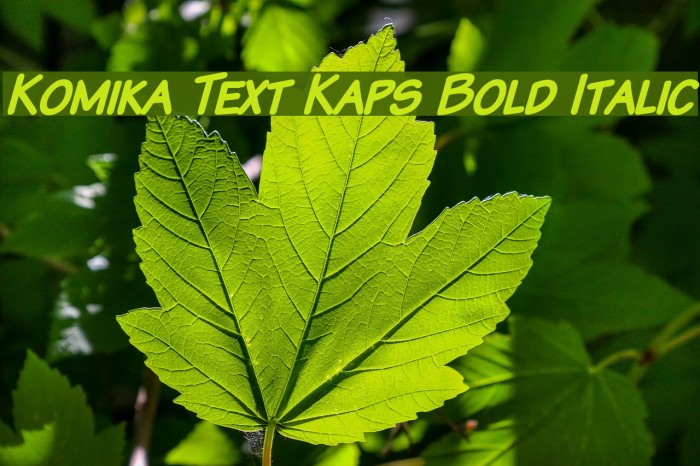 Komika Text Kaps Bold Italic Font examples