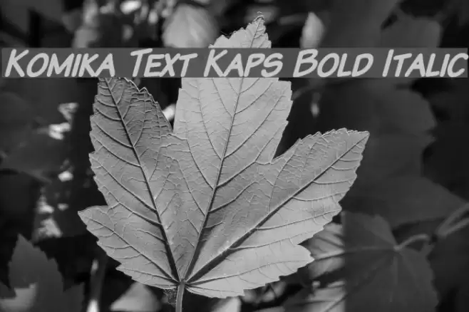 Komika Text Kaps Bold Italic Fuentes examples
