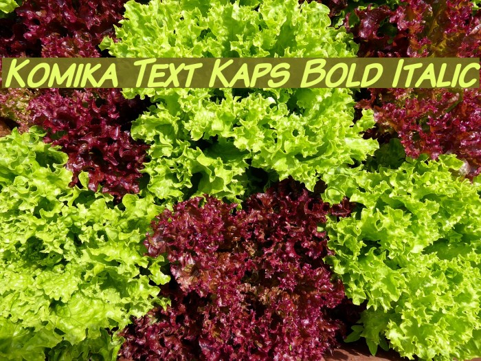 Komika Text Kaps Bold Italic Font examples