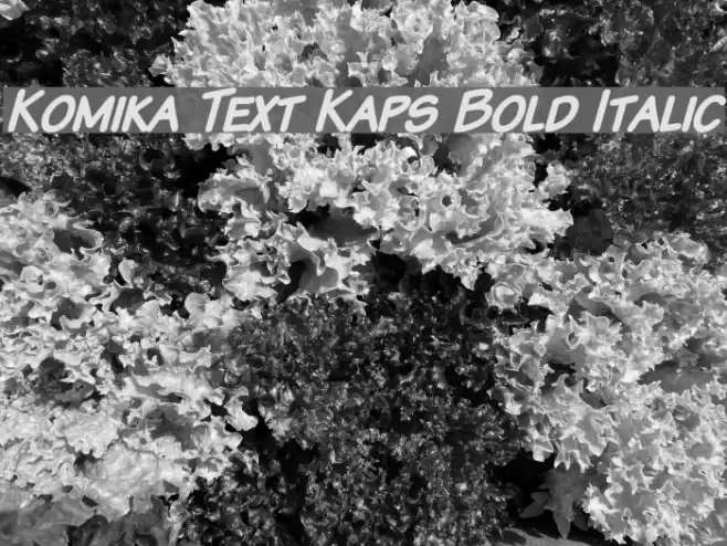 Komika Text Kaps Bold Italic Fuentes examples