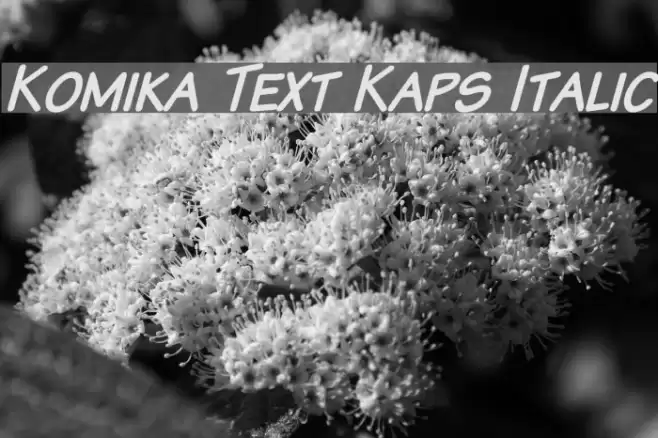 Komika Text Kaps Italic フォント examples