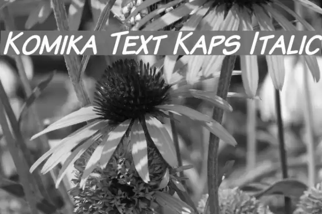 Komika Text Kaps Italic フォント examples