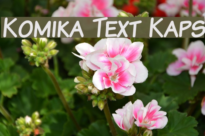 Komika Text Kaps Font examples
