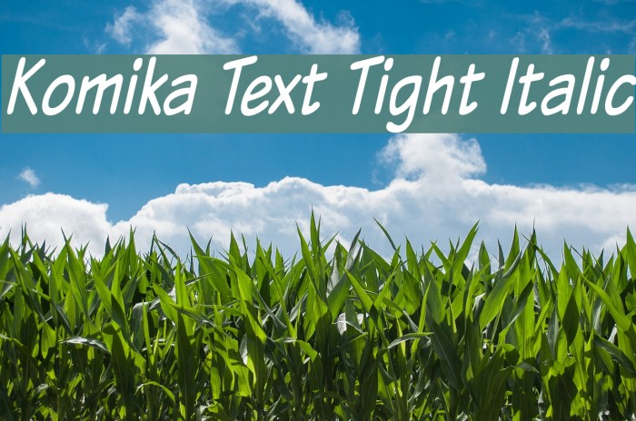 Komika Text Tight Italic Font examples