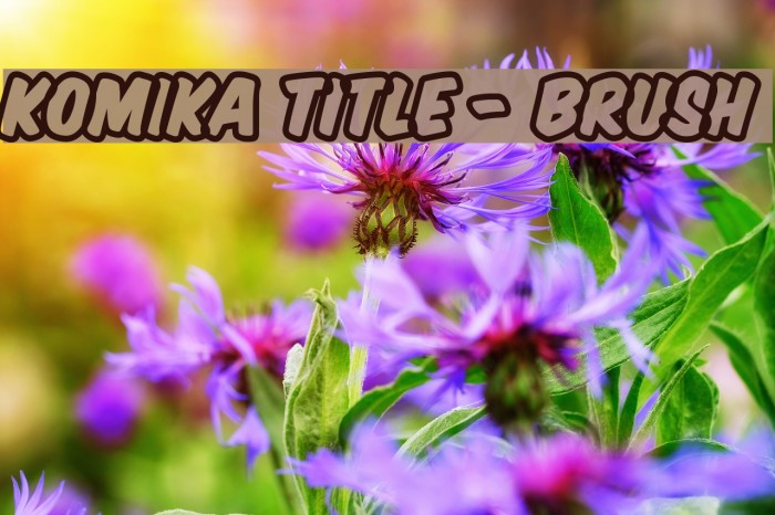 Komika Title - Brush Font examples