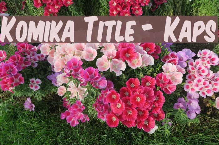 Komika Title - Kaps Example 3