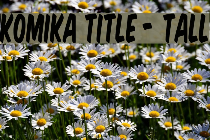 Komika Title - Tall Font examples