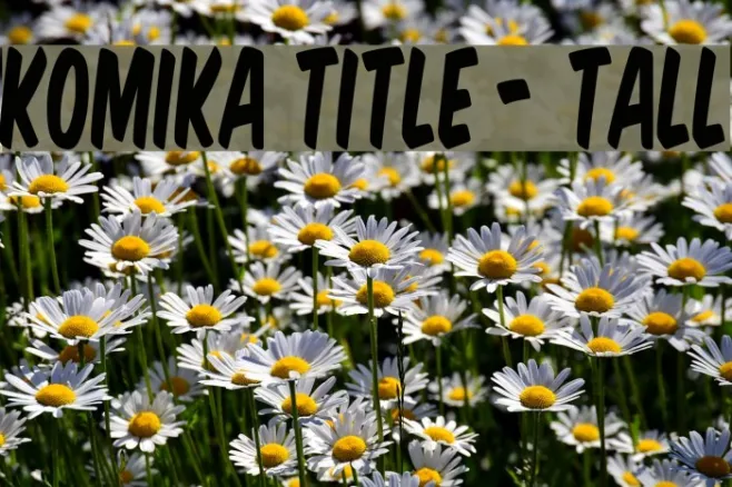 Komika Title - Tall Example 2