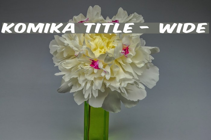 Komika Title - Wide Font examples