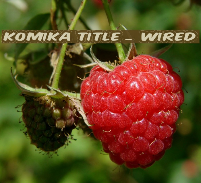 Komika Title - Wired Font examples