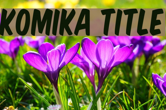 Komika Title Font examples