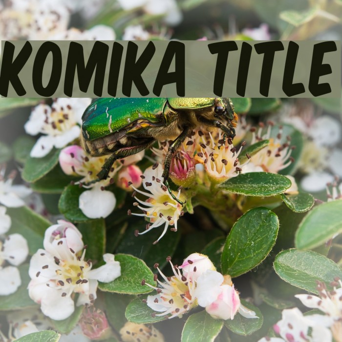 komika-title-font-ffonts