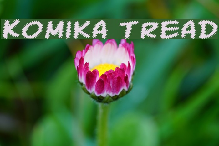 Komika Tread Example 2