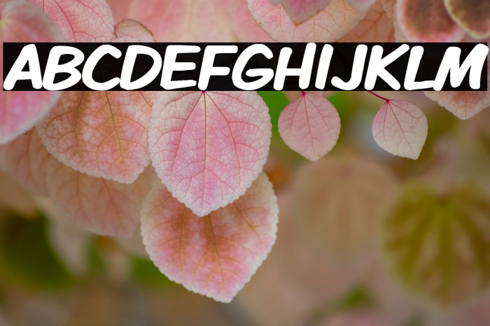 Komika display bold2 フォント examples