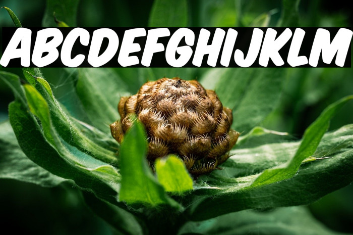 KomikaTitle Paint フォント examples