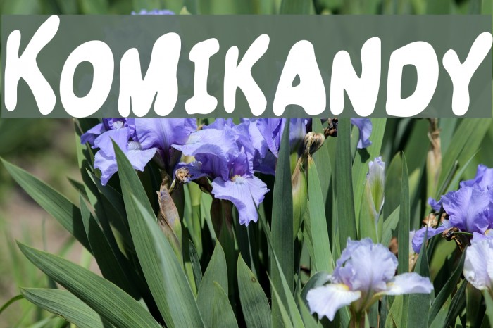 Komikandy Font examples