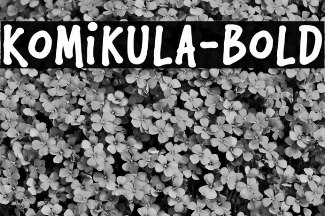 Komikula-Bold Fuentes examples