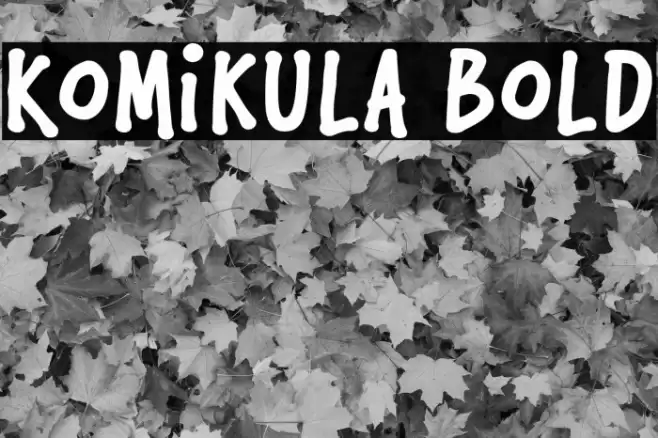 Komikula Bold Font examples