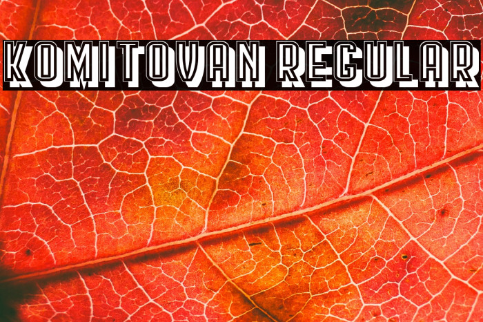 Komitovan Regular Example 1