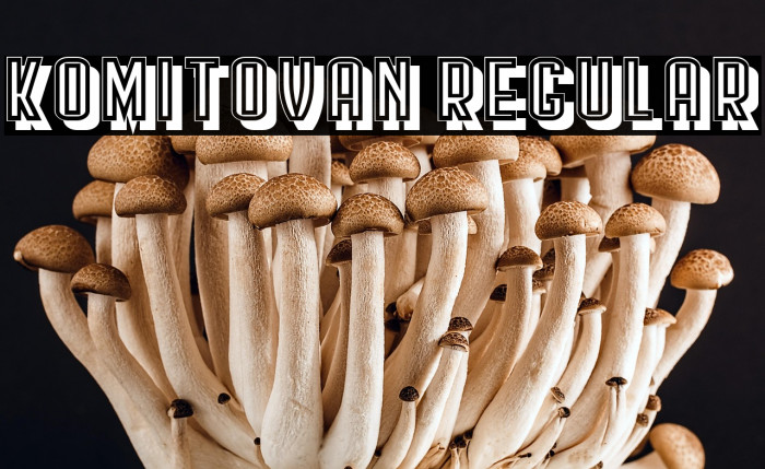 Komitovan Regular Example 2