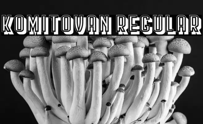 Komitovan Regular Font examples