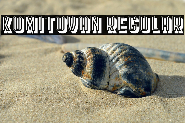 Komitovan Regular Example 3