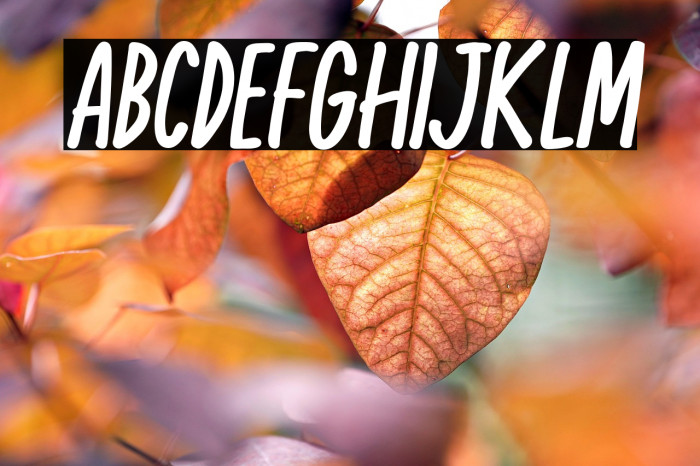 KomixCon Bold Italic Example 2