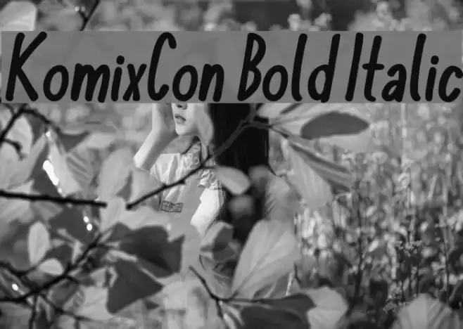 KomixCon Bold Italic Font examples