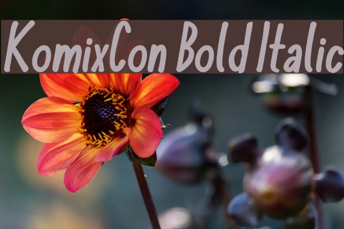 KomixCon Bold Italic Polices examples