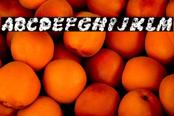 Komo Nout inline Example 2