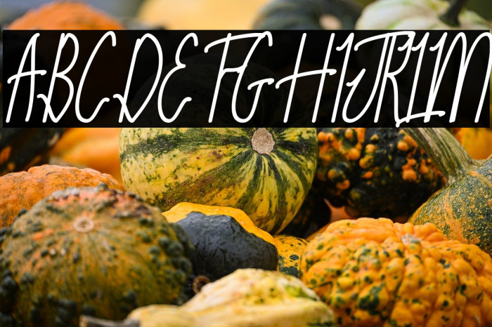 Komonesia Signature Slant Example 2