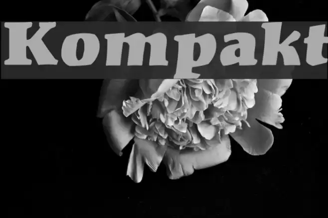 Kompakt Font examples