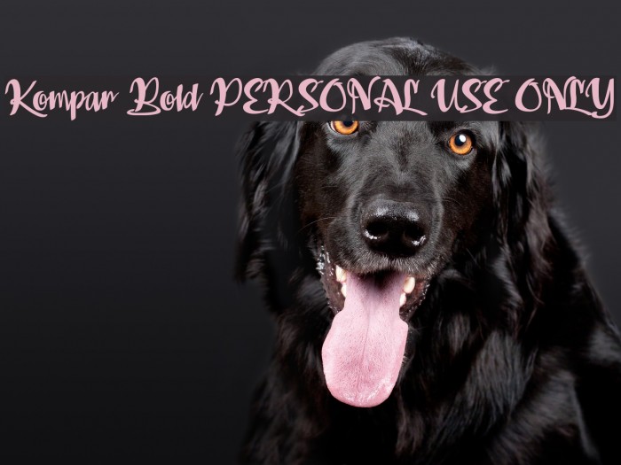 Kompar Bold PERSONAL USE ONLY Font examples