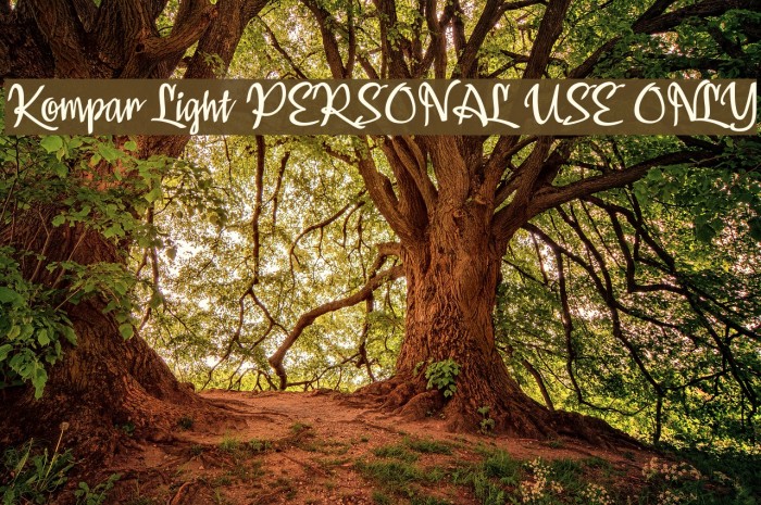Kompar Light PERSONAL USE ONLY Font examples