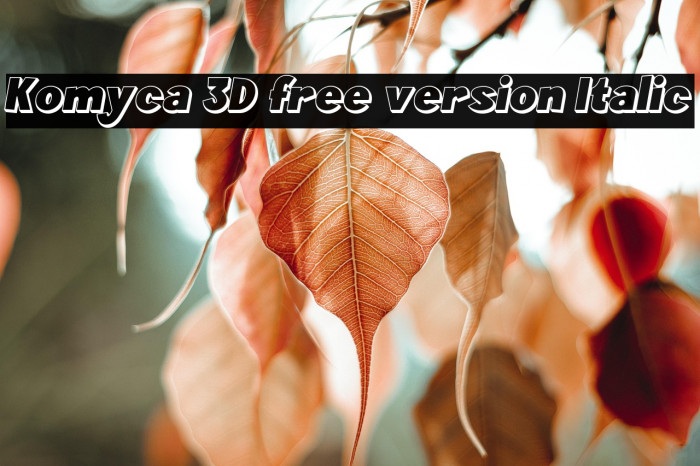 Komyca 3D free version Italic Example 1