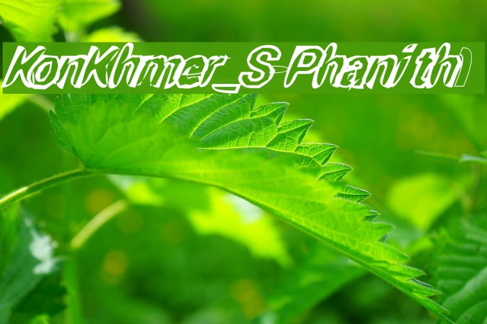 KonKhmer_S-Phanith1 Font examples