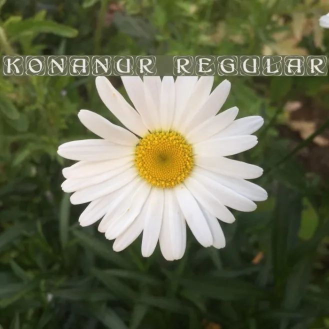Konanur Regular Example 3