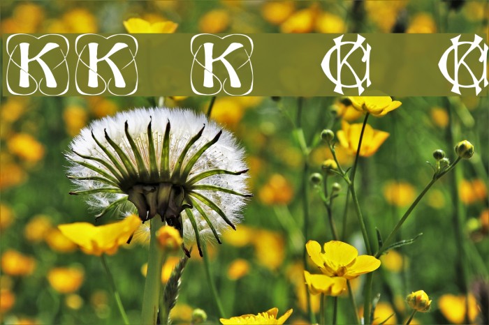 KonanurKaps Kaps:001.001 Polices examples