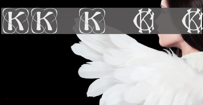 KonanurKaps Kaps:001.001 Polices examples