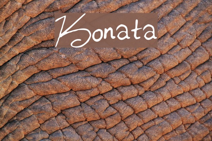 Konata Font examples