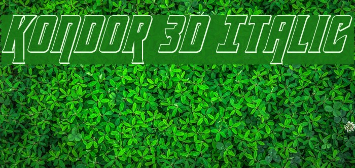Kondor 3D Italic Font examples