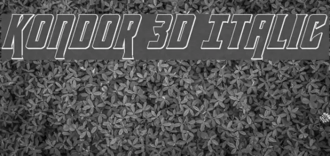 Kondor 3D Italic  examples