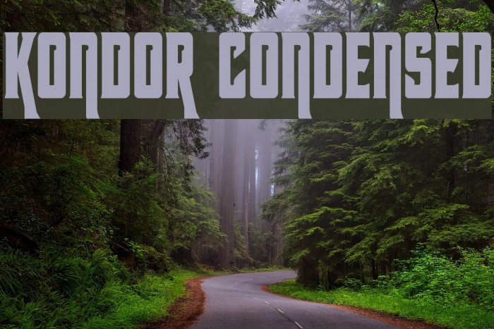 Kondor Condensed Example 1