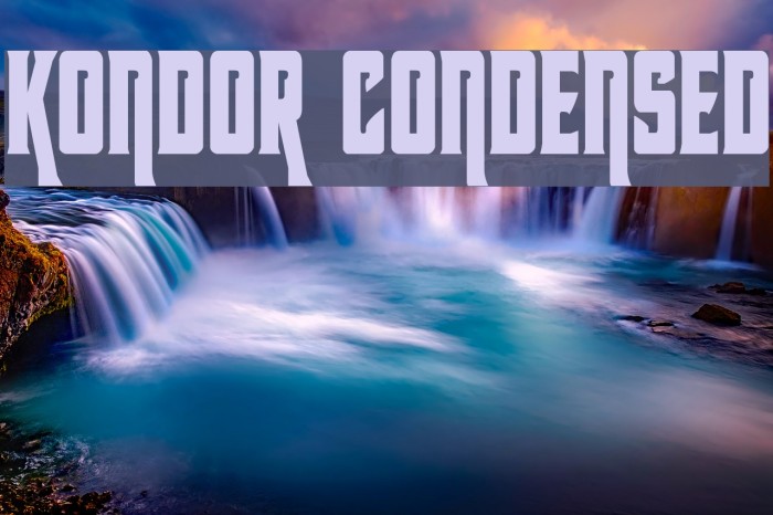 Kondor Condensed Example 2