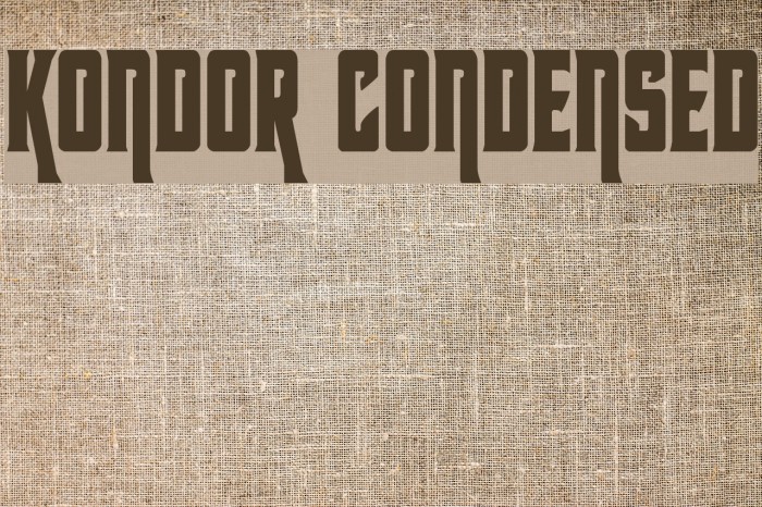 Kondor Condensed Example 3