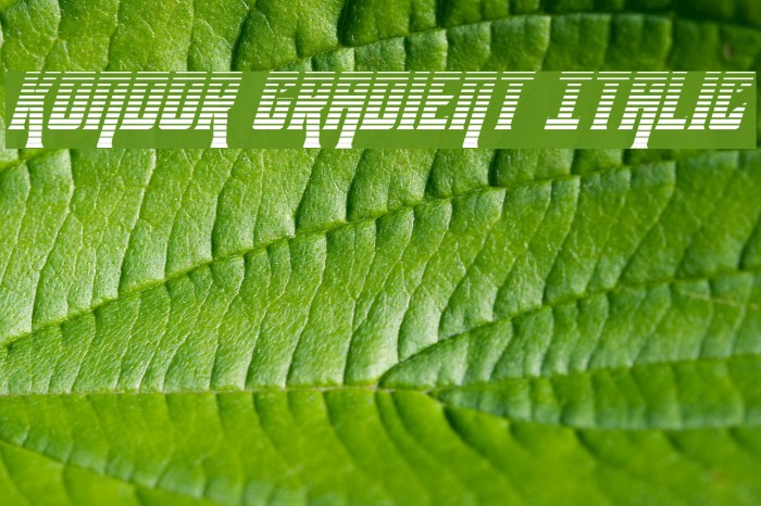 Kondor Gradient Italic Font examples