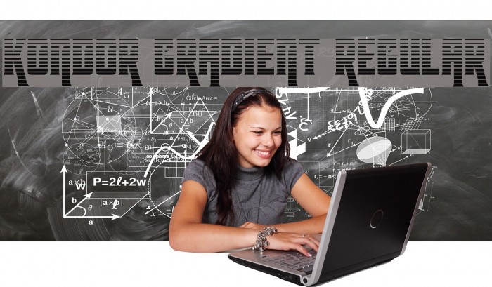 Kondor Gradient Regular Example 1