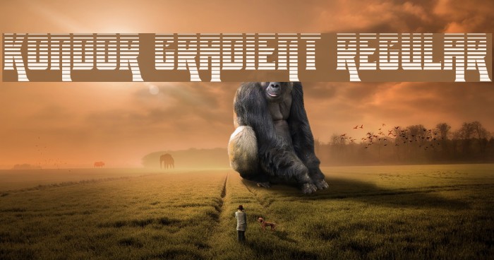 Kondor Gradient Regular Example 3