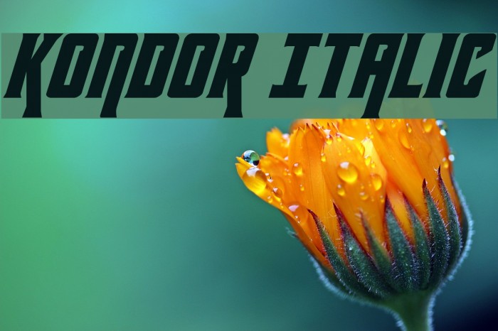 Kondor Italic Example 3